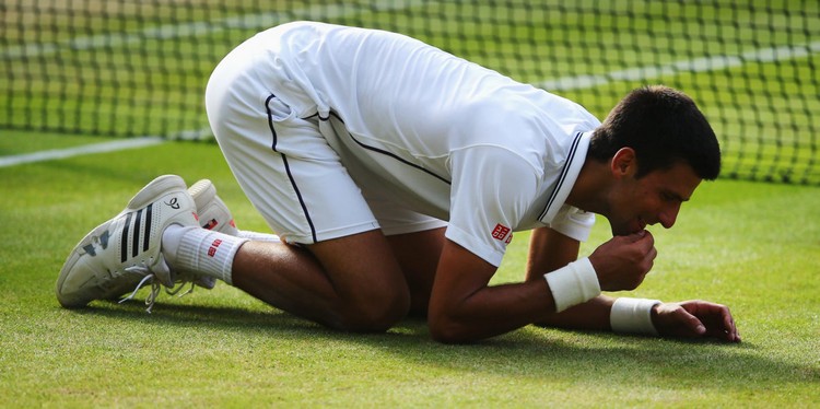 novak djokovic et l'herbe de wimbledon