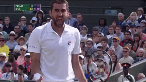 marin cilic gif